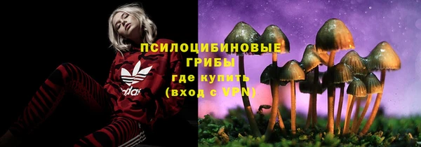 MESCALINE Богородицк