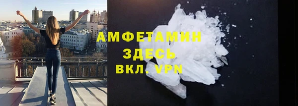 индика Беломорск