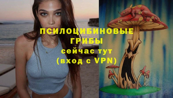 гидропоника Богородск
