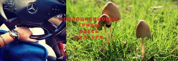 MESCALINE Богородицк