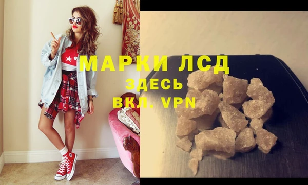 индика Беломорск
