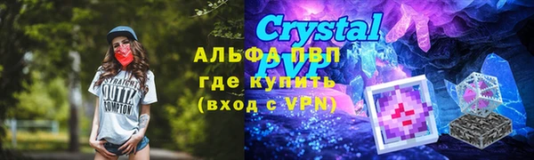 индика Беломорск