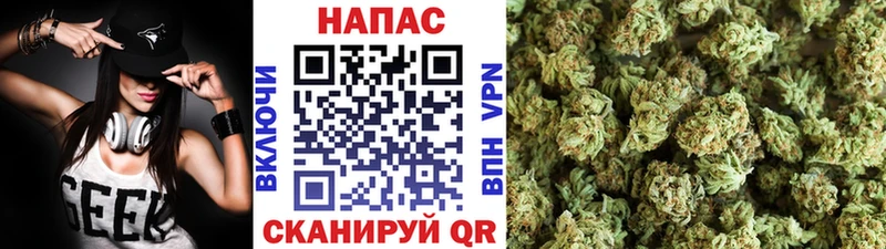 OMG tor  Краснослободск  это формула  Бошки Шишки семена 
